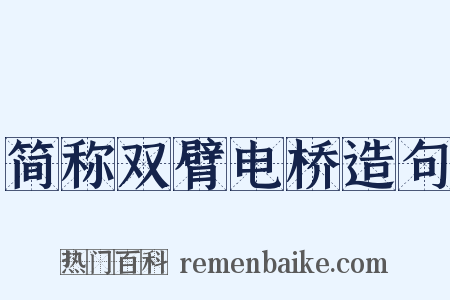 简称双臂电桥造句是什么意思的图片